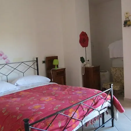 Green Coppito 3*