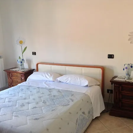 Green Coppito Coppito