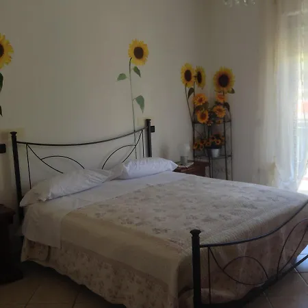 Green Coppito Coppito