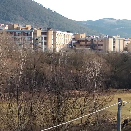 Green Coppito