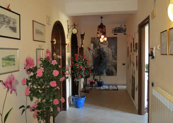 Bed & Breakfast Green Coppito