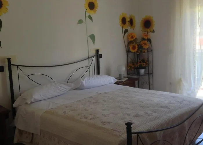 Green Coppito Coppito